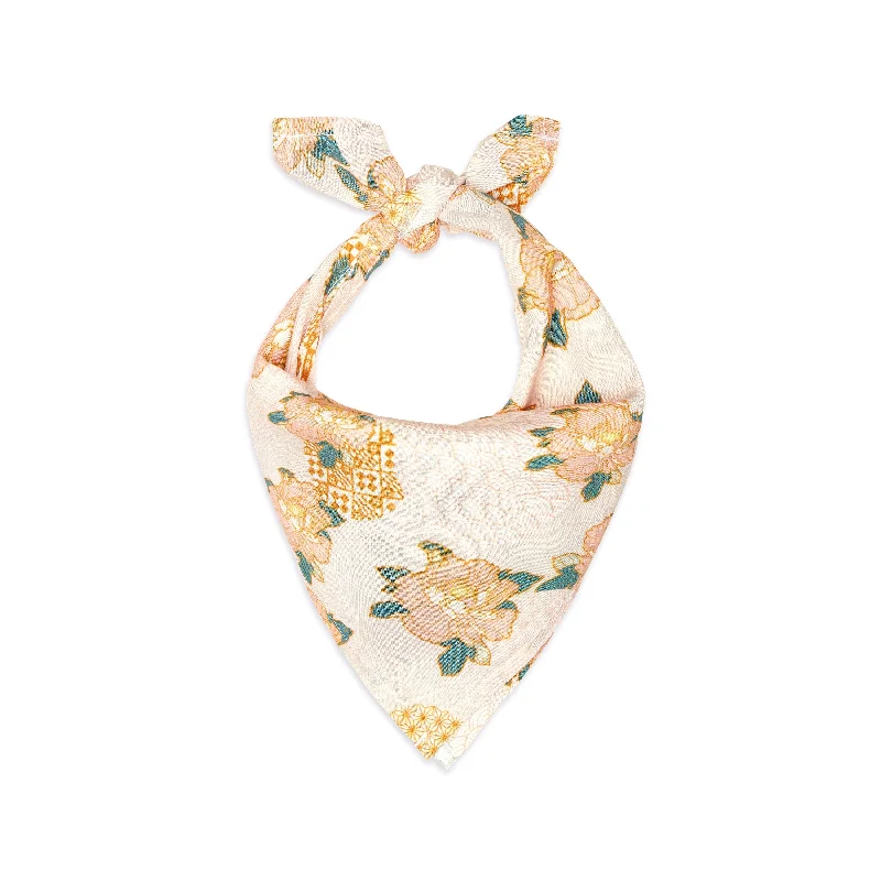  . **Cat scratching board corrugated paper**Botan Bandana