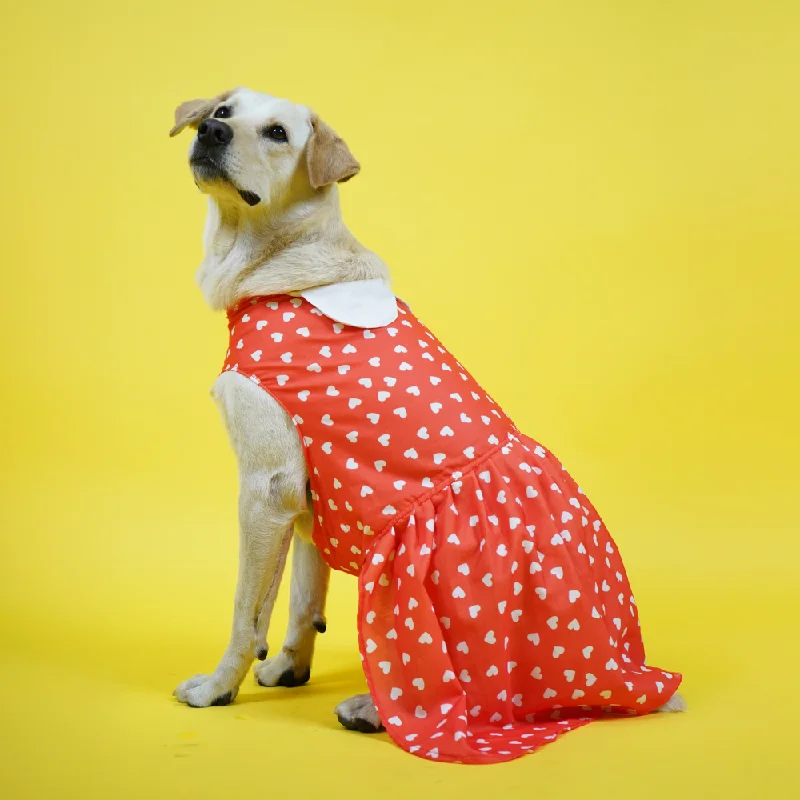 ---Skatrs All Hearts Printed Dress for Dogs and Cats (Red)