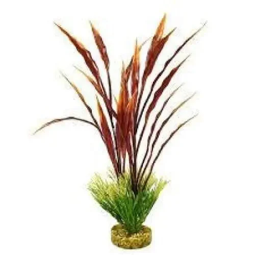 - Pregnant cat delivery room warming boxBlue Ribbon Colorburst Florals Gravel Base Atoll Grass Plant Red And Green 15in - Pregnant cat delivery room warming boxBlue Ribbon Colorburst Florals Gravel Base Atoll Grass Plant Red And Green 15in