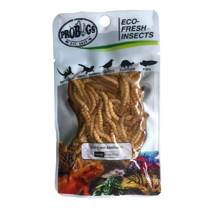 ---Pro Bugs Eco-Fresh Mealworm for Parrots, Cichlids, Frogs, Hedgehogs, Sugar Gliders Food