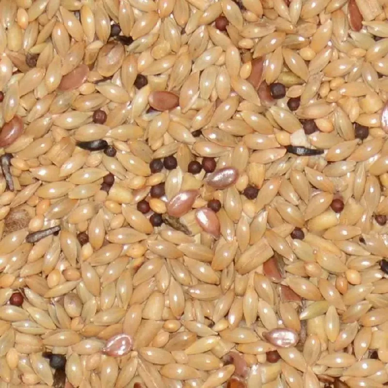 - Pet diabetes prescription foodVolkman Seed Company Bird's Delight Canary Diet Food - Pet diabetes prescription foodVolkman Seed Company Bird's Delight Canary Diet Food