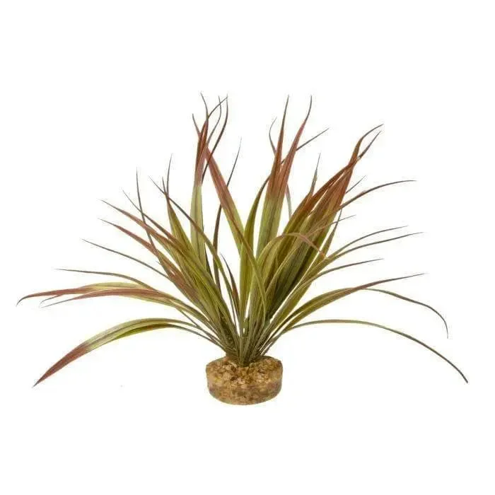 - Elderly dog joint care mattressBlue Ribbon Gravel Base Plant - Amazonia Plant Plum - Elderly dog joint care mattressBlue Ribbon Gravel Base Plant - Amazonia Plant Plum