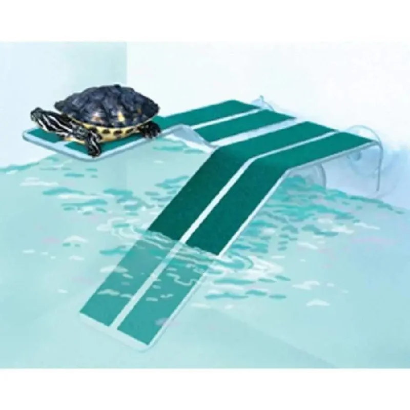 - Parrot climbing and standing wooden frameKordon Turtle Ramp Green, Clear Medium