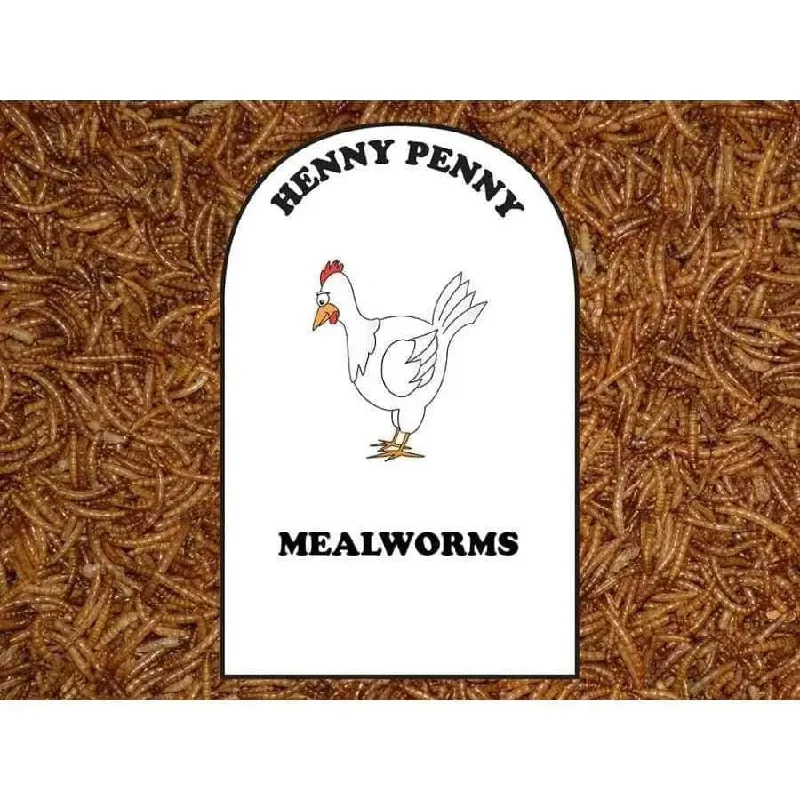 - Automatic induction pet water dispenserVolkman Seed Company Mealworms Chicken Food 1ea/1.25 lb - Automatic induction pet water dispenserVolkman Seed Company Mealworms Chicken Food 1ea/1.25 lb