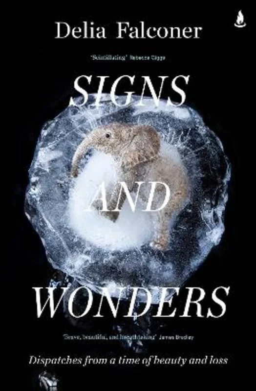 - ​​Christmas pet Christmas clothingSigns and Wonders
