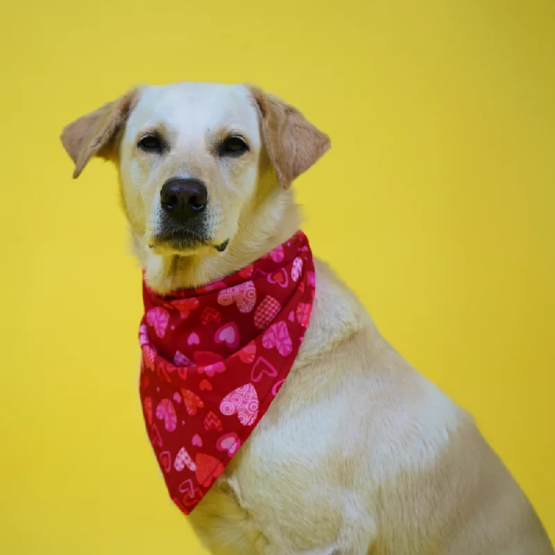 - Car dog seat beltSkatrs Heart Printed Bandana for Dogs and Cats (Red)