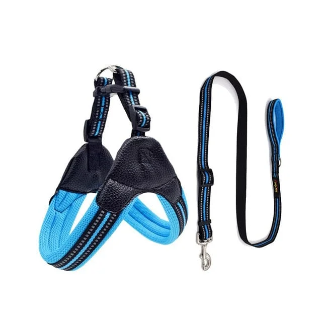 blue set
