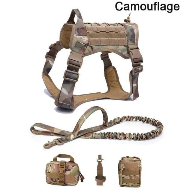 C-Straps And Bags
