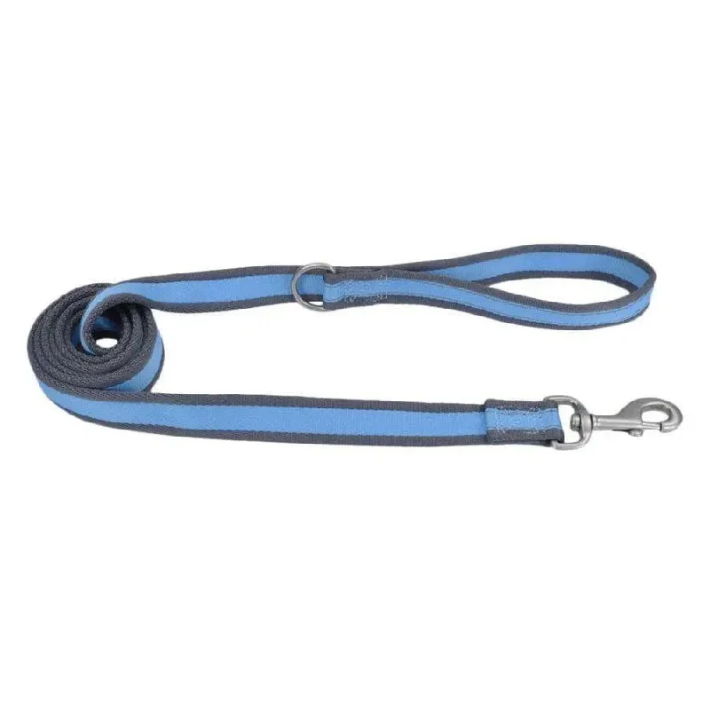 - Chinchilla cooling ice nest ceramic plateCoastal Pro Reflective Dog Leash
