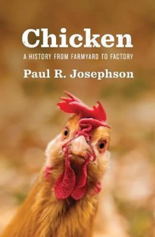 ---Chicken