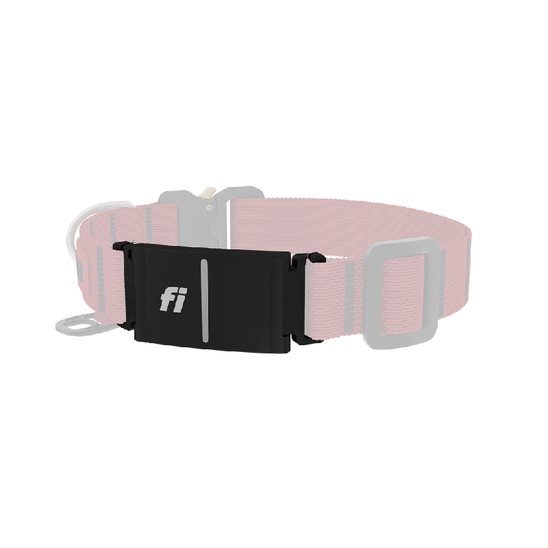Fi Dog Series 3 mount