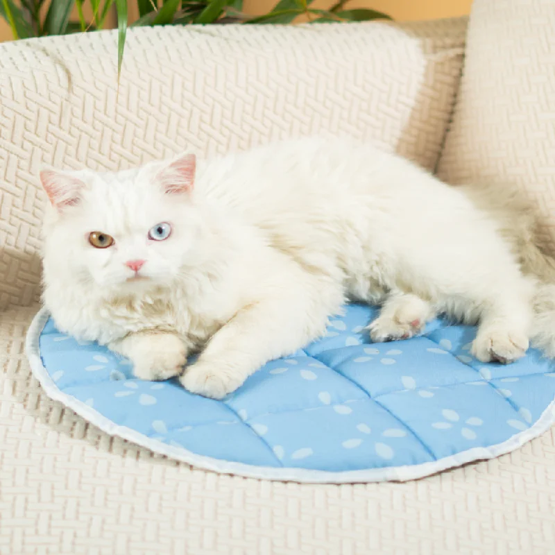 - Custom pet birthday cakePet Set Go Sky Bloom Mat for Cats (Green)