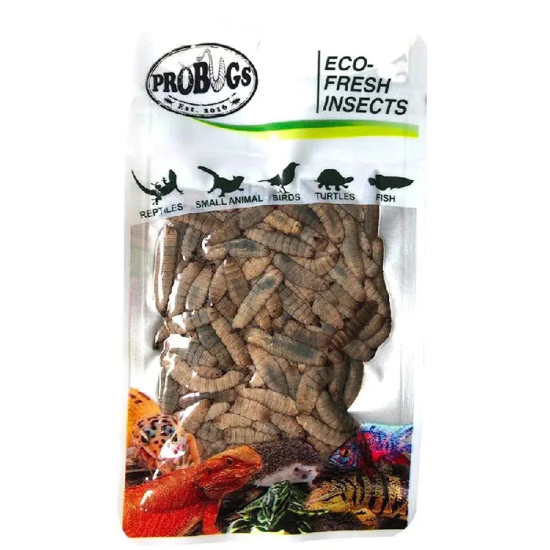 - Automatic induction pet water dispenserPro Bugs Eco-Fresh Black Soldier Fly Larvae for Fish, Lizards, Turtles, Wild Birds Food