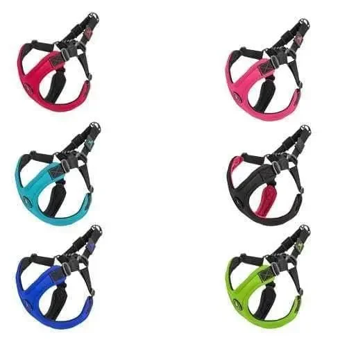 - Parrot climbing and standing wooden frameEscape FreeⓇ Sport Harness