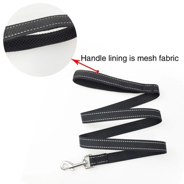 Black  Leash
