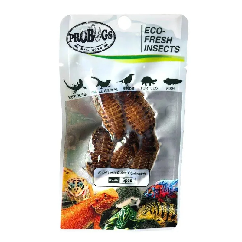 - Pet electric nail grinder silent modelPro Bugs Eco-Fresh Dubia Roaches for Arowana Fish, Bearded dragons, Small Animals Food