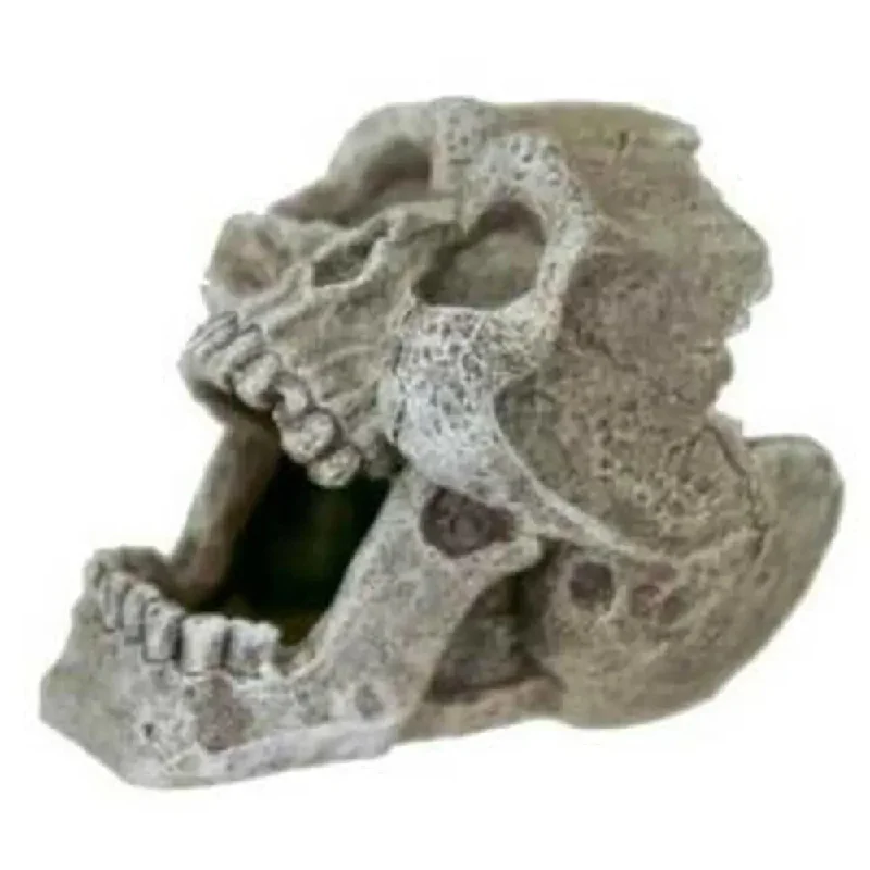 -Splash-proof food bowl AND Anti-choking slow food bowlBlue Ribbon Exotic Environments Cracked Human Skull Mini -Splash-proof food bowl AND Anti-choking slow food bowlBlue Ribbon Exotic Environments Cracked Human Skull Mini