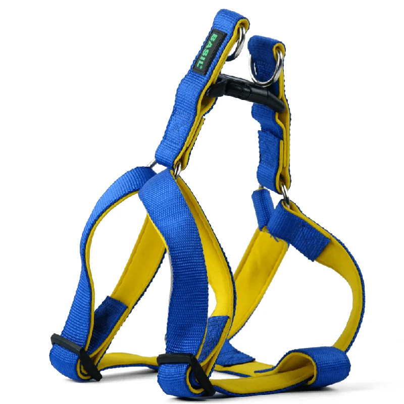 - Custom pet birthday cakeBasil Nylon Padded Adjustable Harness for Dogs (Blue)