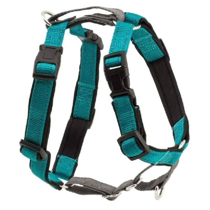 Teal