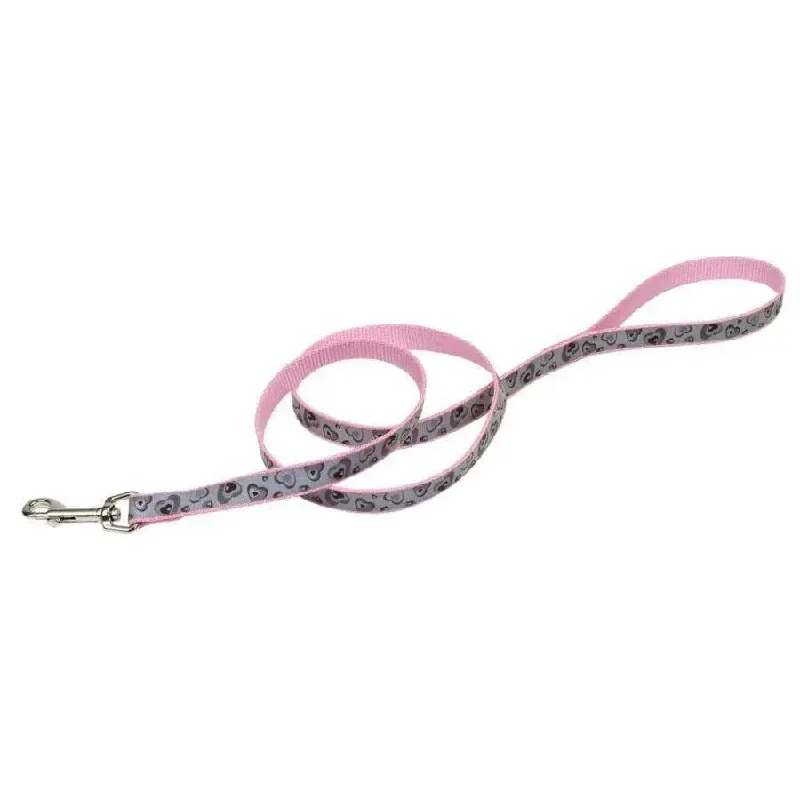 - Pet vitamin complex nutrition tabletsLazer Brite Reflective Dog Leash