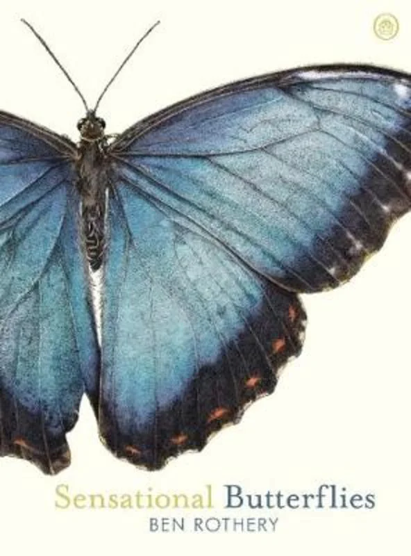 - Pet fence foldable indoorSensational Butterflies