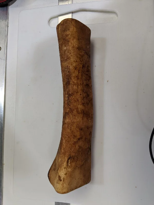 Roast Shank Bone