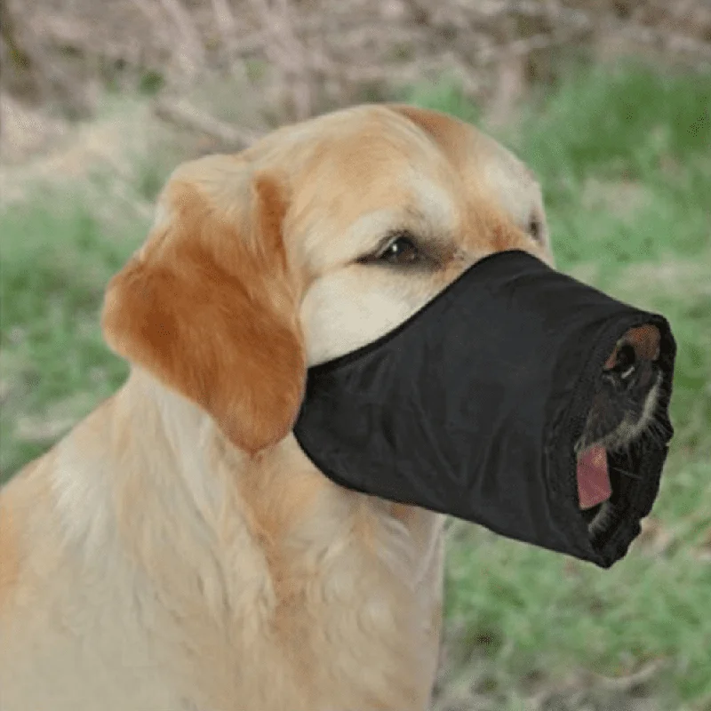 - Winter dog thick down jacketTrixie Nylon Muzzle for Dogs