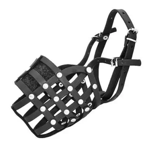- Pet monitor with cameraViper Echo Leather Basket Dog Muzzle