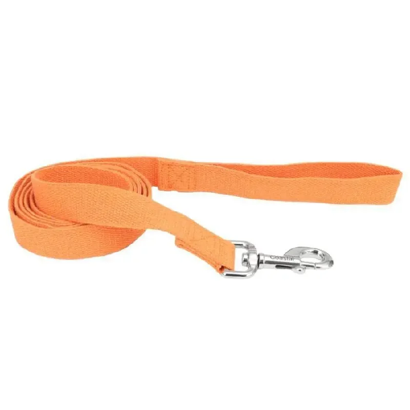 - Teething and chewing toys for puppiesNew Earth Soy Soy Dog Leash