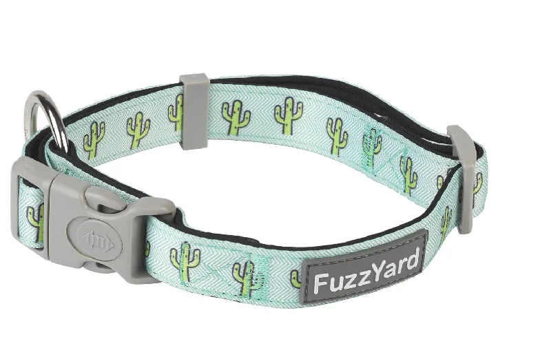 Tucson