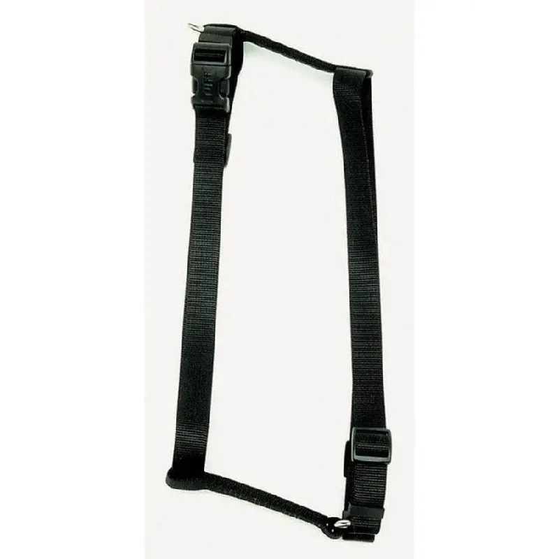  -Non-contact cat thermometerCoastal Standard Adjustable Nylon Dog Harness