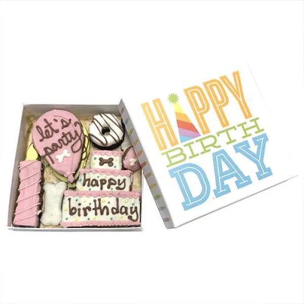 Birthday Party Dog Treat Box