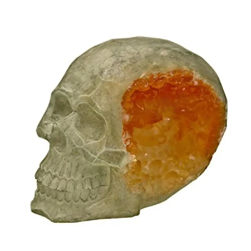 - Pet diabetes prescription foodSkull Geode Stone Exotic Environments Aquarium Ornament - Pet diabetes prescription foodSkull Geode Stone Exotic Environments Aquarium Ornament