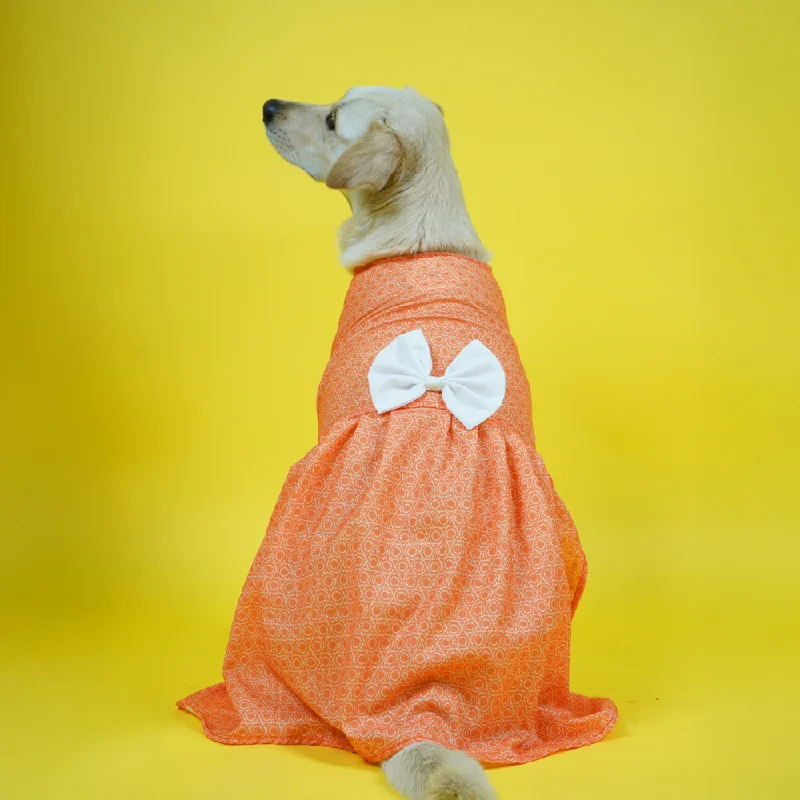 - Hamster silent running wheel to prevent chewingSkatrs Marigold Mandala Printed Dress for Dogs and Cats (Orange)