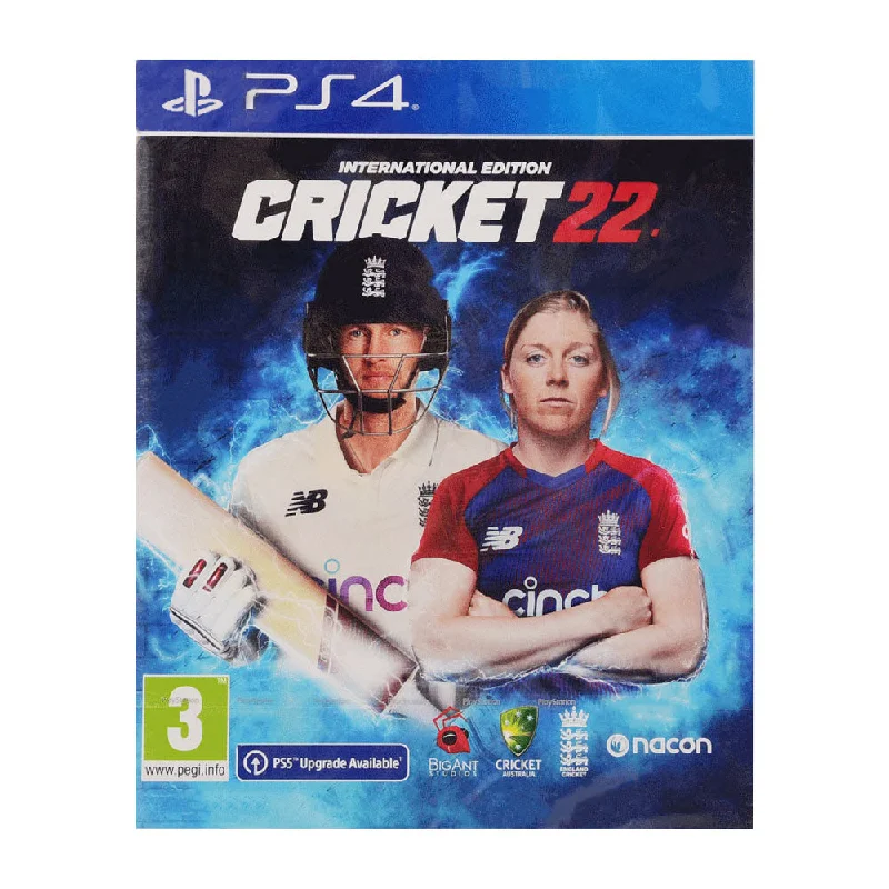 - Chinchilla cooling ice nest ceramic platePS4 GAME CRICKET 22