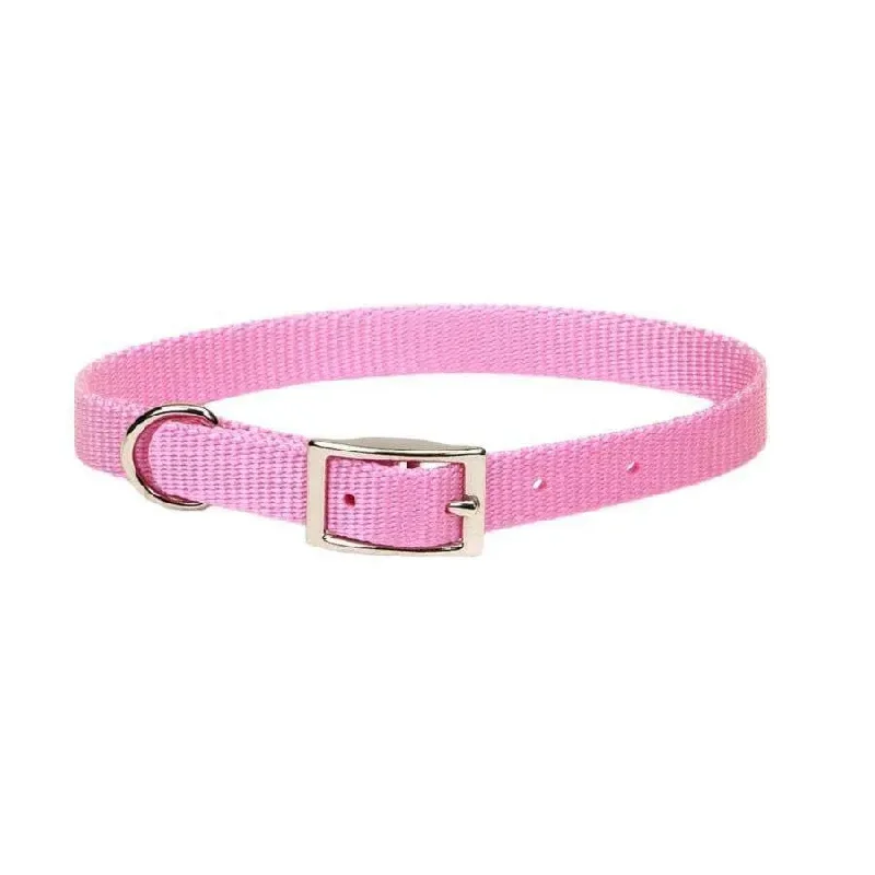 Pink Bright