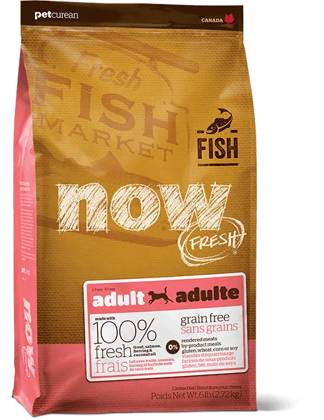 - Dog food for pregnancy and lactationNow Fresh - Grain Free - Adult - Fish