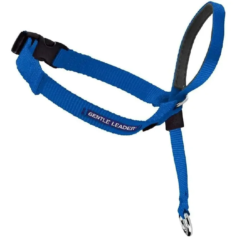 - Pet diabetes prescription foodPetSafe Headcollar No-Pull Dog Collar