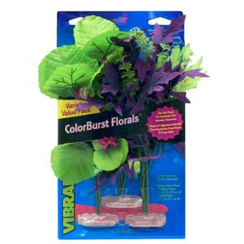 - Pet stroller can be taken on the planeBlue Ribbon Colorburst Florals Amazon Flowering Cluster Variety Pack 3 Plants - Pet stroller can be taken on the planeBlue Ribbon Colorburst Florals Amazon Flowering Cluster Variety Pack 3 Plants