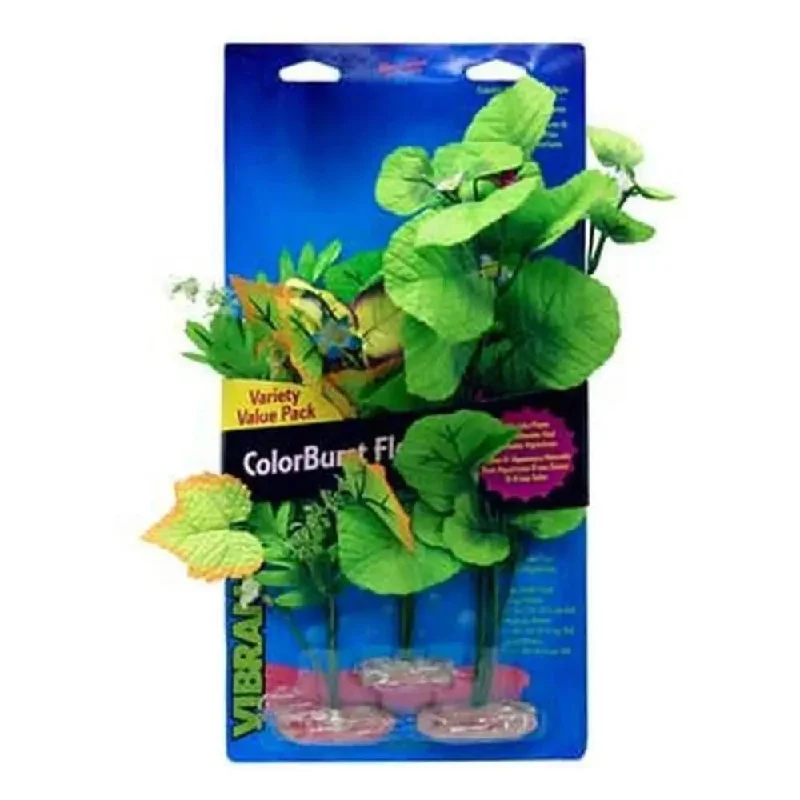 - Cat stress soothing sprayBlue Ribbon Colorburst Florals Broad Leaf Flower Cluster Variety Pack 3 Plants - Cat stress soothing sprayBlue Ribbon Colorburst Florals Broad Leaf Flower Cluster Variety Pack 3 Plants