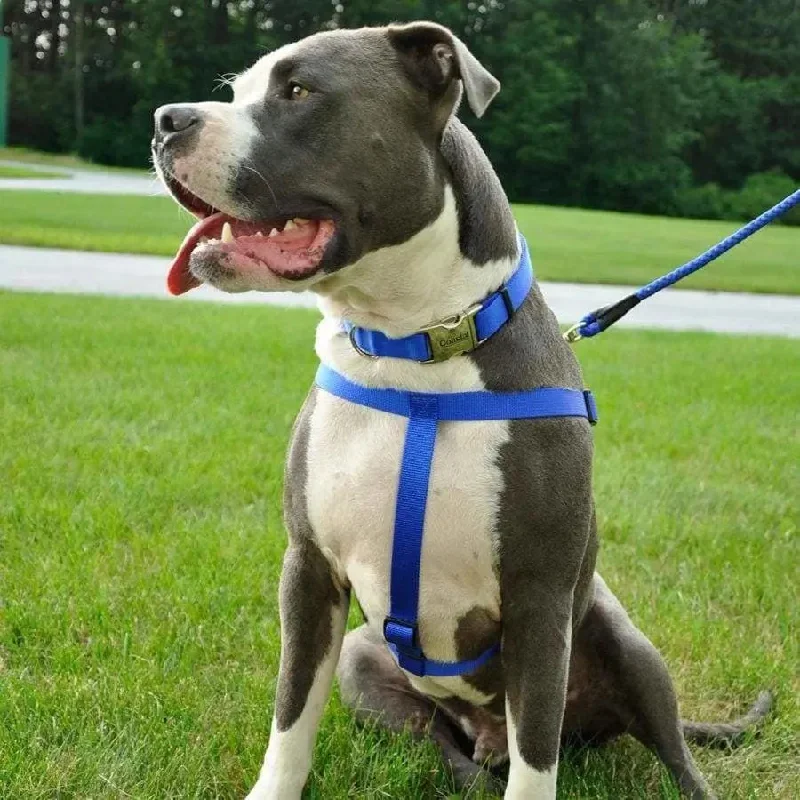 - Cat stress soothing sprayComfort Wrap Adjustable Nylon Dog Harness