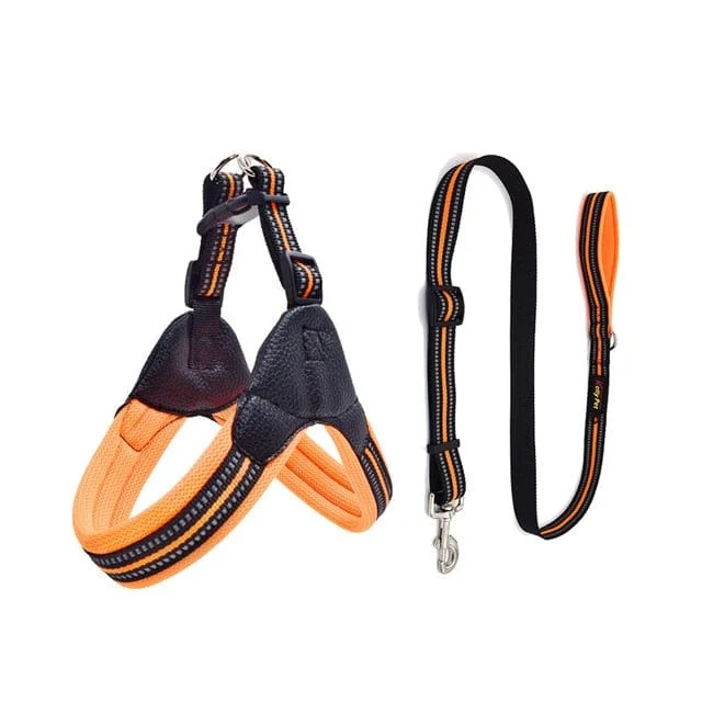 Reflective Dog Harness and Leash Set