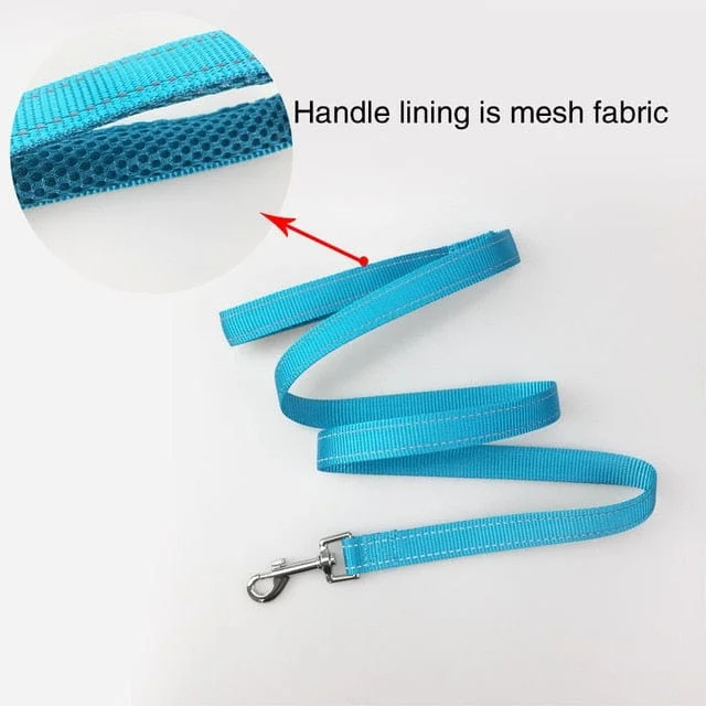 Blue  Leash