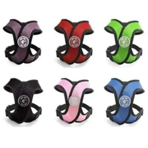 - Remote interactive pet feederComfort X Head-In Harness