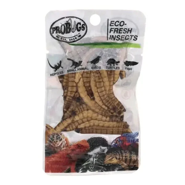 Pet ProductsPro Bugs Eco-Fresh Superworm for Lizards, Turtles, Birds, Koi food