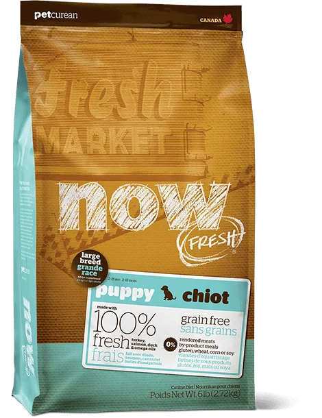 - Special food for senior dogsNow Fresh - Grain Free - Puppy - Large Breed