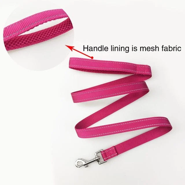 Rose red Leash