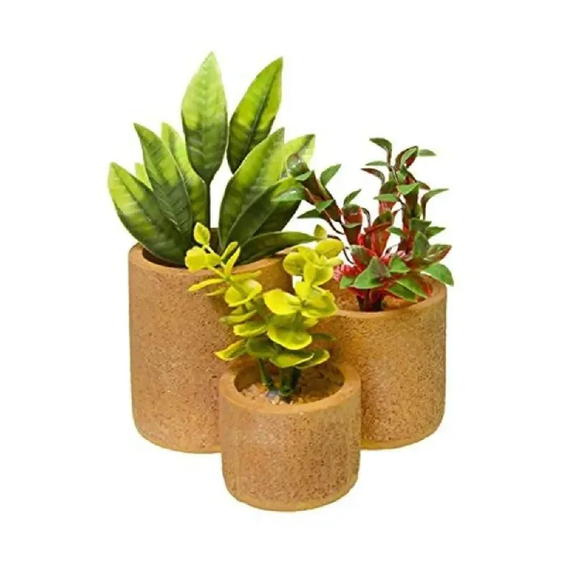 - Parrot climbing and standing wooden frameBlue Ribbon Ornament Round Flower Pot Natural - Parrot climbing and standing wooden frameBlue Ribbon Ornament Round Flower Pot Natural