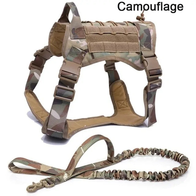 C-Straps And Rope