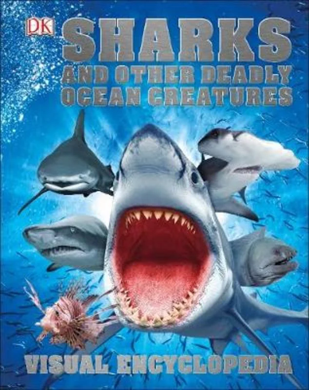 - Chinchilla cooling ice nest ceramic plateSharks and Other Deadly Ocean Creatures